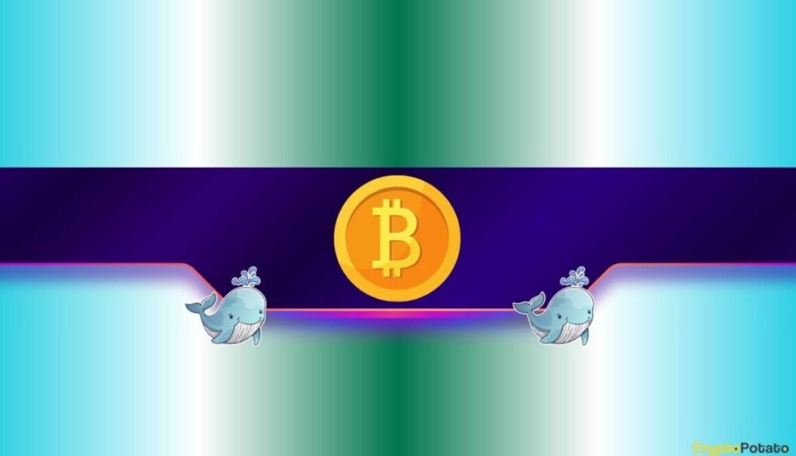 Bitcoin Whales Just Bought $3B in BTC: Why Analysts Still Warn of More Pain Ahead?