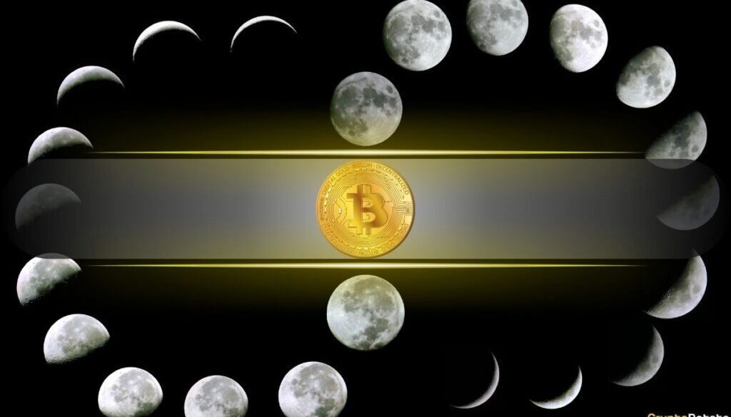 Bitcoin’s 4-Year Cycle Could Be Changing: Willy Woo Reveals What Could Replace It